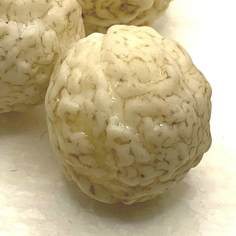 4 big white-ish meatball brain globe shaped buttons early plastic vintage Cover