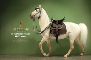 1/6 Mr.z Hailar Sanhe Pferd Modell Tier Figur Soldat Zubehör Szene GK Deko - Bild 1 von 68
