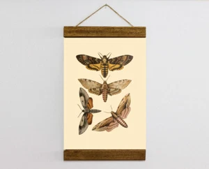 Impresión en lienzo con marco de madera dibujo mariposa vintage a color, póster mariposa - Imagen 1 de 7