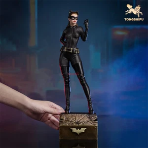 Catwoman Anne Hathaway Ver Brass Statue Limited Edition Figure Model Hand-Paint - Picture 1 of 24