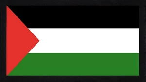 Fantastic Souvenir Palestine Mat Runner Pub Home - Imagen 1 de 3