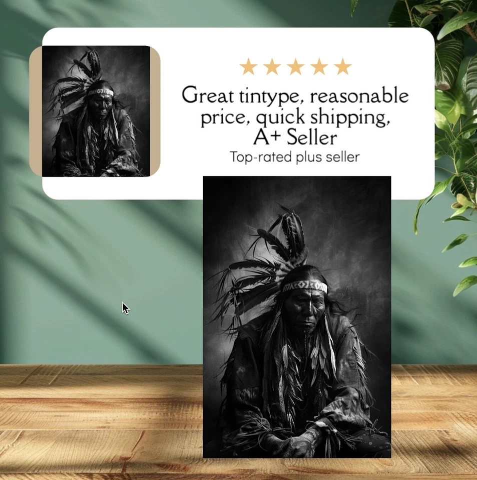 Индейский тонип ограниченный выпуск музейная серия C00383RP - Изображение 1 из 3