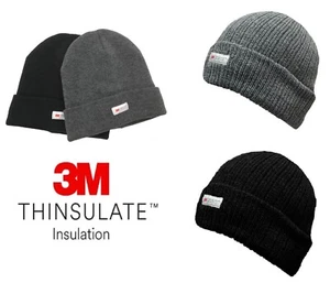 Genuine Thinsulate Mens Beanie Hat Warm Winter Thermal Knitted Grey or Black - Picture 1 of 7