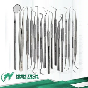 17pc STAINLESS STEEL Dental PICK SET, Tools Pick Scaler Teeth Cleaning Tooth - Picture 1 of 3