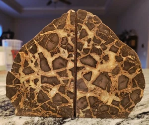 Große septarische Knötchen Buchstützen - natürlicher "Drache" Stein 5 Pfund - Vintage Nachlass - Bild 1 von 10