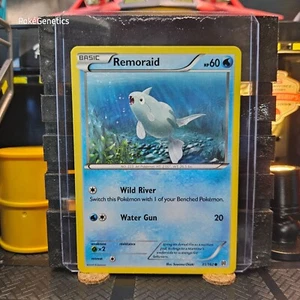 Remoraid Breakthrough Pokémon TCG 31/162 XY Common - Picture 1 of 6