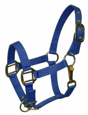 PREMIUM Triple Grueso 3 Capas Nylon Halter con Clip de Latón Nariz Ajustable POTRO PONY Talla 6634P Foto 1 de 4