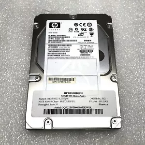 HP DF0300B8053 300GB 3.5" SAS Desktop Server Hard Disk Drive HDD Tested Grade A - Picture 1 of 6