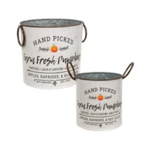 Farm Fresh Pumpkins Galvanized Buckets, Set of 2, Farmhouse Decorations - Picture 1 of 1
