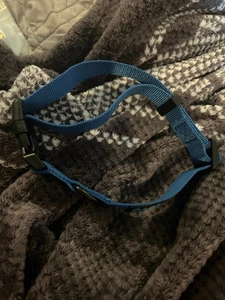 collier chien animal bleu taille grand - Photo 1/2