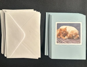 Menge 12 Zarte Gedanken leere Notizkarten mit Umschlägen Welpe & Kätzchen Gruß - Bild 1 von 4