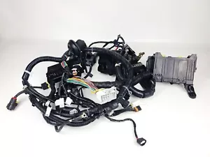 14-17 NISSAN ROGUE 2.5L MOTOR ARNÉS CABLEADO CABLES MONTAJE OEM - Imagen 1 de 4