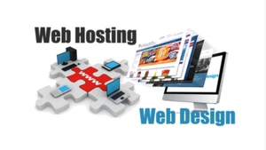 Web Hosting & Design, Domain, SSL, Email, CMS: eCommerce / Business / Community - Picture 1 of 6