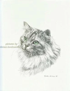 298 SILVER LONG HAIRED TABBY CAT art print *  Pen & ink drawing by Jan Jellins - Picture 1 of 1