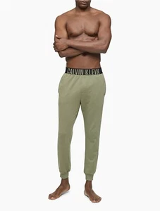 Calvin Klein Herren Pyjama Jogginghose XL 40-42 Grün Lounge Sleep Intense Power - Bild 1 von 10