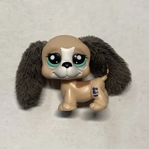 Littlest Pet Shop Authentic  Tan Brown White Basset Hound Fuzzy Ears - Picture 1 of 3