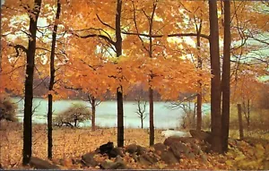 Vintage Postkarte, malerisches Neuengland, schöner Herbst Herbst, Bäume, Teich, ungebraucht - Bild 1 von 2