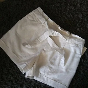 NWT A NEW DAY XL Dressy Shorts High Rise Paperbag Waist Sparkle W/ Belt Lined 4" - Picture 1 of 9