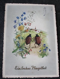 AK Ein frohes Pfingstfest, Maikäfer, 1957 - Bild 1 von 2