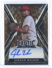 2023 JORDAN WALKER LEAF EXOTIC MULTI-SPORT KALEIDOSCOPE GIRAFFE AUTO #ED 2/2!!