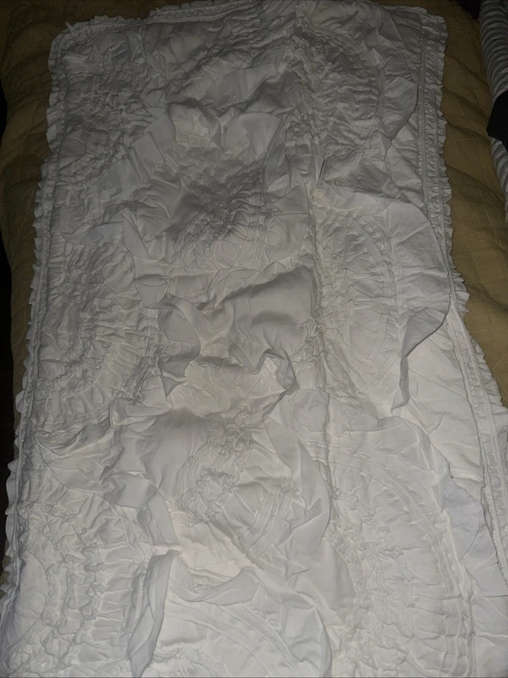 (2) Anthropologie Rivulets Off White/Crema King Shams 20”x 36” 100 % algodón usado en excelente estado Foto 1 de 4
