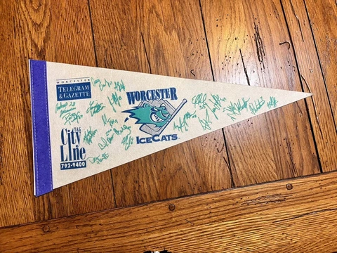 VINTAGE AHL HOCKEY WORCESTER ICE CATS FELT PENNANT FACSIMILES SIGNATURES Cover