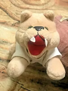 Mascotte berretto Wildcat peluche Università del Kentucky - Foto 1 di 6
