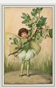Set 10 Cartoline Arte Fiore Fata Cartoline A6 Postcrossing Cartoline di Gentilezza - Foto 1 di 11