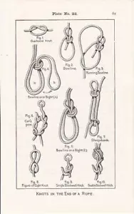 1930 Marine Marine Marine "Knoten am Ende eines Seils" Zeichnung-Druck / tolle Kunst / - Bild 1 von 1