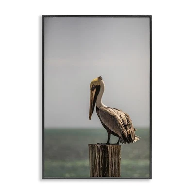 Nautical Landscape Pelican Framed Giclee Wall Art Design by Aaron Matheson, B... - Image 1 of 4