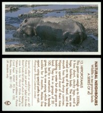Hippopotamus #13 Natural Neighbours 1992 Brooke Bond Tea Card