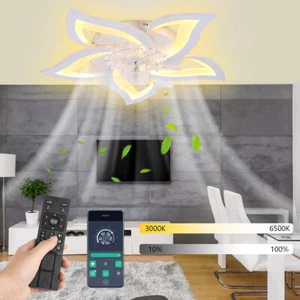 60W Deckenventilator mit Beleuchtung Fernbedienung LED Deckenlampe Schlafzimmer - Bild 1 von 15