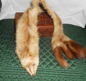 Nerz Pelz Kragen Schal Vintage Original, 24 x 2 1/2" - Bild 1 von 3