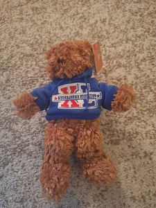 2006 Superbowl XL (40) Team Bear Detroit Lions Bean Plush NFL Collectible NWT  - Picture 1 of 8
