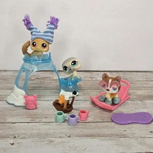 Littlest Pet Shop " ARCTIC ADVENTURE" #340,  341, 342 Chinchilla, Husky, Seal - Picture 1 of 18