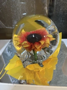 Real Preserved Sunflower Water Globe In 9” Dome 4 Lbs Forever Flower Home Decor - Picture 1 of 12