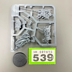 ARMY OF THE DEAD HERALD 2 DUNHARROW MINAS TIRITH PLASTIC LOTR MIDDLE EARTH SBG - Picture 1 of 1