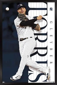 MLB New York Yankees - Gleyber Torres 23 - Picture 1 of 13