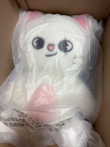Oso de peluche oficial Stray Kids SKZOO Jiniret versión 5’ horas con pasaporte - Imagen 1 de 5