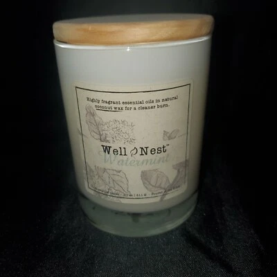 Vela Scentsational Well Nest con cera de coco natural menta de agua 11 oz Foto 1 de 3