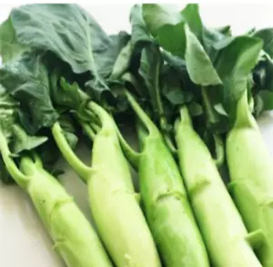 500+Chinese Kailaan Chinese Broccoli GaiLan Seeds 鸡腿芥兰种子 2024 NEW - Picture 1 of 4