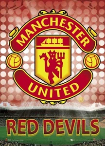 Manchester United 3D Wall Poster - Gift Idea Man United Red Devils 30x42cm - Picture 1 of 2