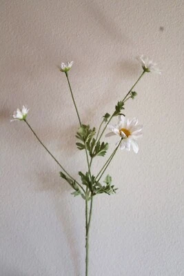 Margerite-Zweig mit 5 Blüten und 2 Knospen, 66 cm hoch, Farbe Weiß, Sommerblume - Bild 1 von 4