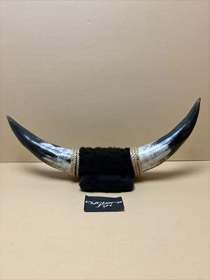 "Juego de cuernos de toro decorativos de novillo montados pulidos de 8"" cuernos de toro de vaca arte cueva" Foto 1 de 4