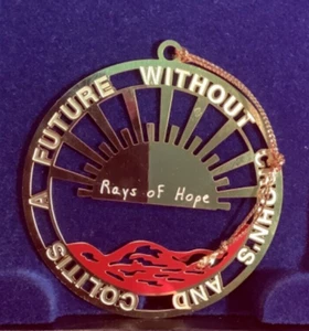 Crohn's Colitis Foundation of America adorno navideño Rays of Hope - b11 - Imagen 1 de 4