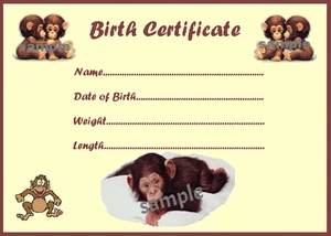 CUTE MONKEY BIRTH CERTIFICATE/CERTIFICATES REBORN FAKE MONKEY approx 7" x 5" - Picture 1 of 1