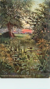 Ducks in pond, sunset, rural, COUNTRY CHARMS, Tuck Christmas card 1408 - Imagen 1 de 2