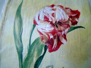 4 StkServietten nicht1Stk. - Bild 1 von 4