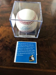 PAUL KONERKO - BÉISBOL MLB - HOLOGRAMA CERTIFICADO DE AUTENTICIDAD AUTOMÁTICO FIRMADO - RIFA MISTERIOSA RECAUDACIÓN DE FONDOS - Imagen 1 de 8