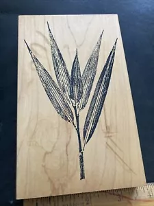 Big Bamboo Rubberstamp By Fred Mullett Landscape Botanical Journaling Stamp - Picture 1 of 4